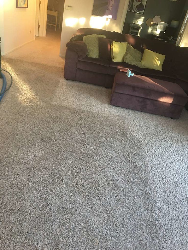 quality carpet cleaning